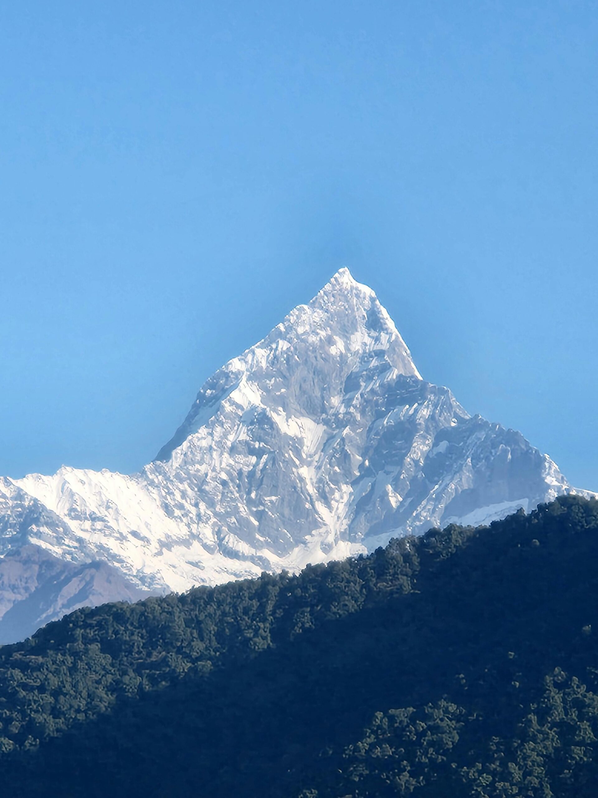 pexels-chhabiraj-adhikari-2157043271-34655582