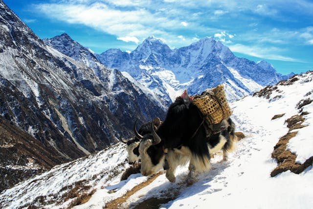 Nepal Tourism